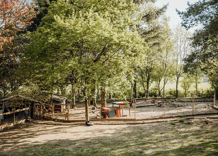 Eifelhuettchen Blaumeise Apartmán *