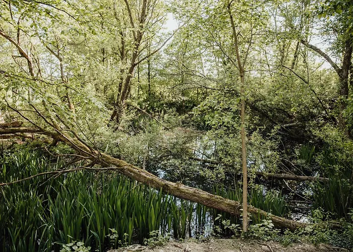 Apartmán Eifelhuettchen Blaumeise *
